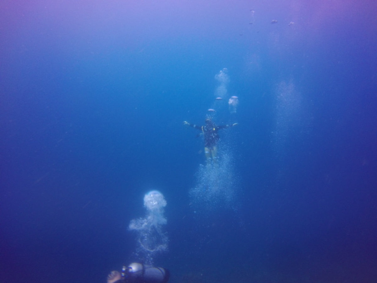 BUCEO - Península de Baru