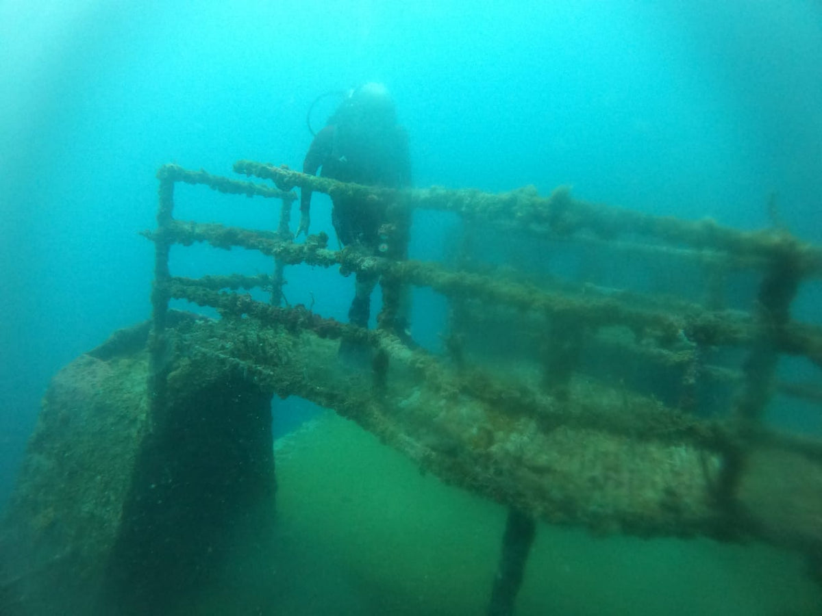 BUCEO - Península de Baru